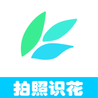 梦想海贼王元宵节情人节礼包预约发布