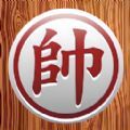 pix bet casino截图